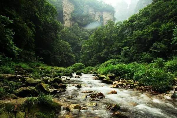 春雨直播app