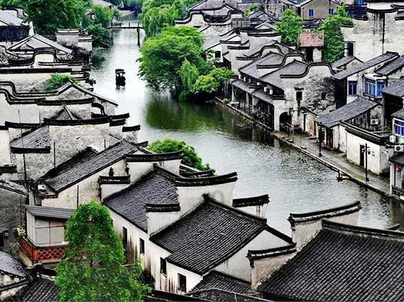 《中华人民共和国畜牧法条文解读及案例精释》出版发行